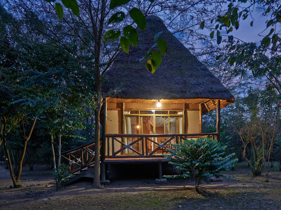 伊莎莎丛林小屋