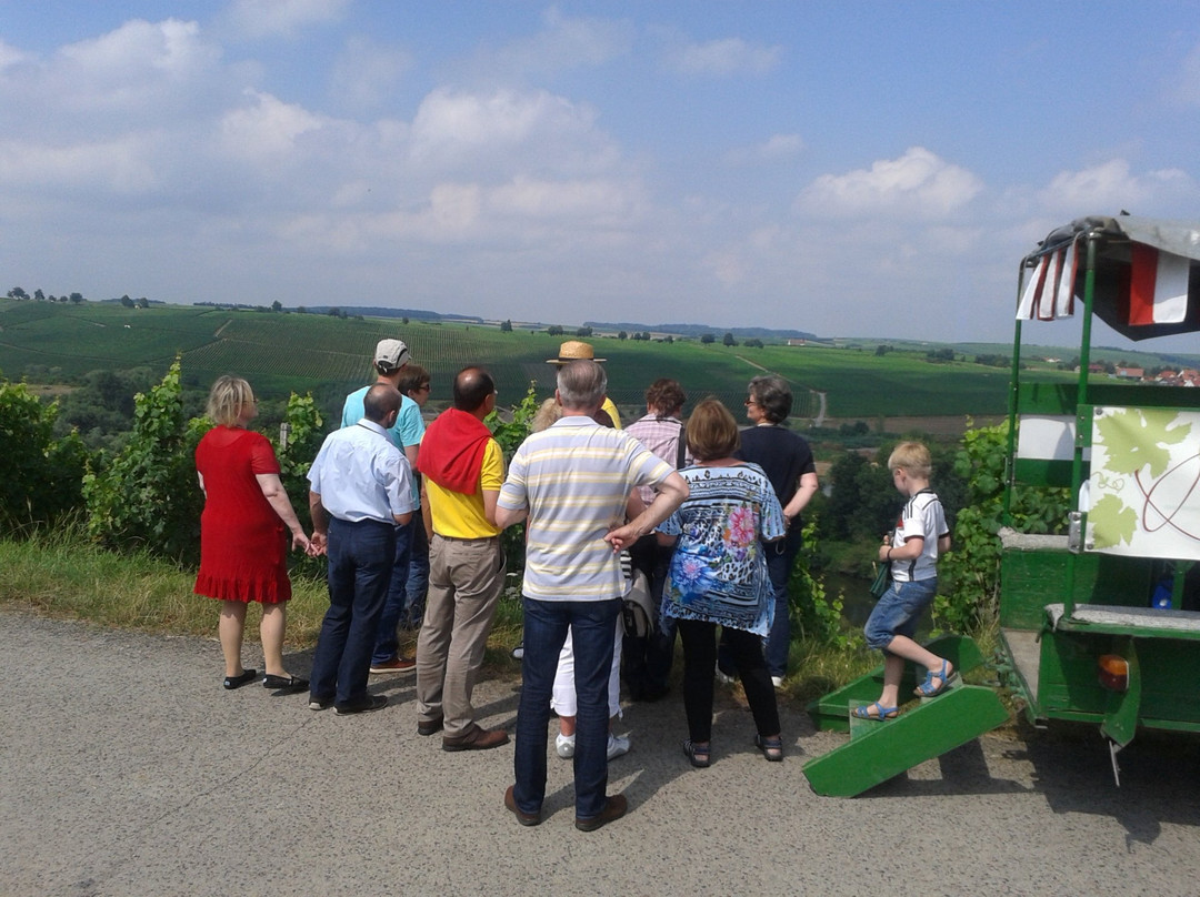 Weingut Otmar Zang景点图片