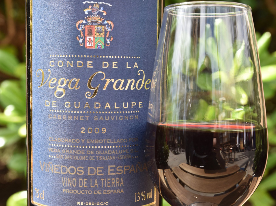 Finca Condal Vega Grande景点图片