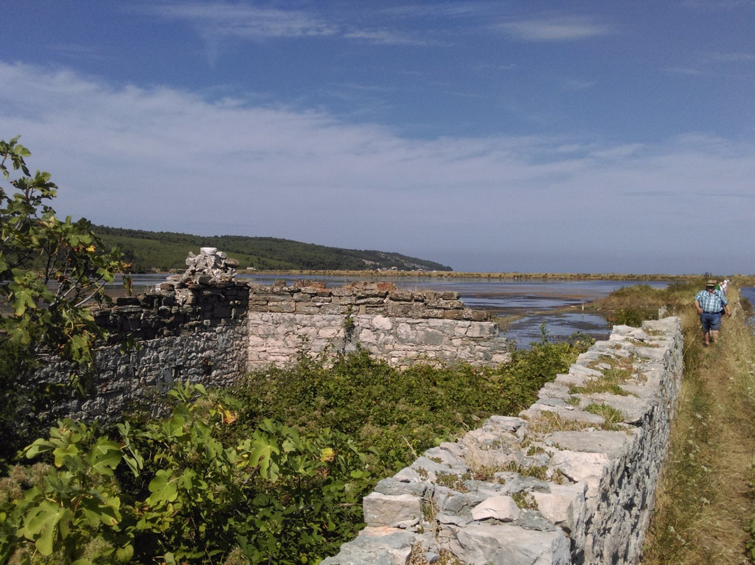 Secovlje Salina Nature Park景点图片