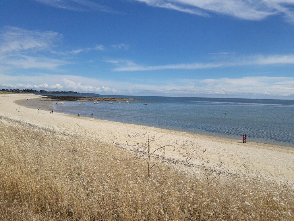 Locmariaquer旅游景点-Plage de la Falaise