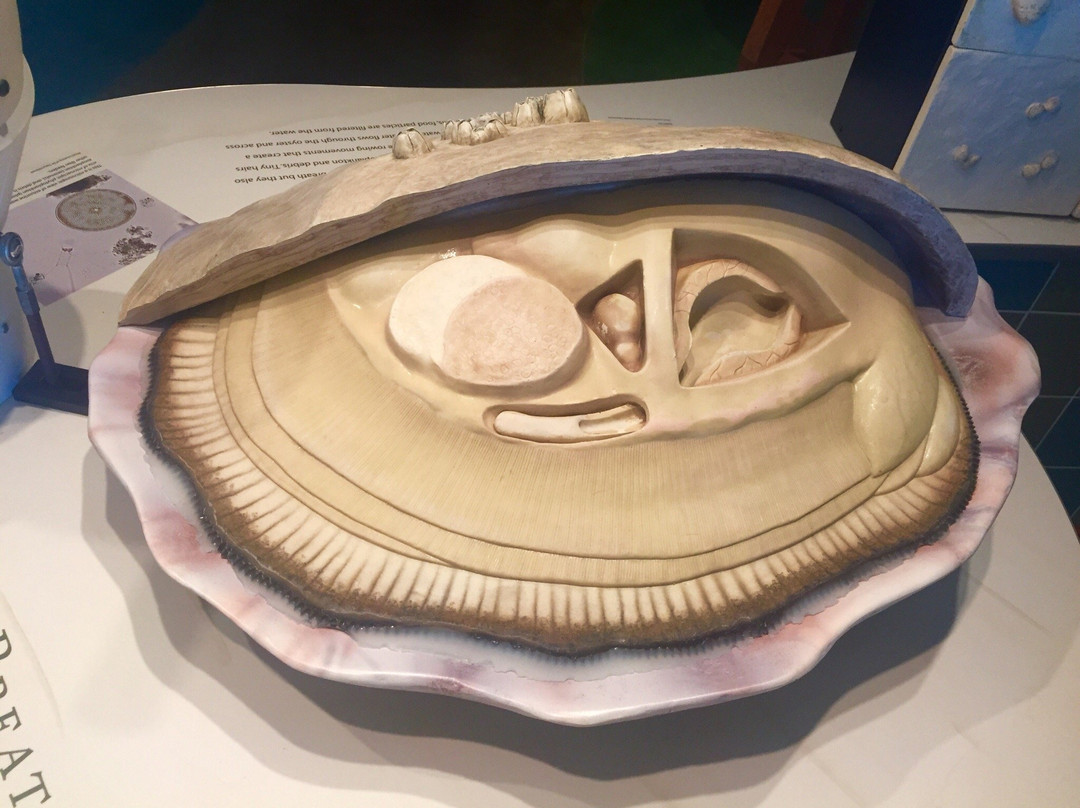 Bay Education Center-罗克波特必去景点