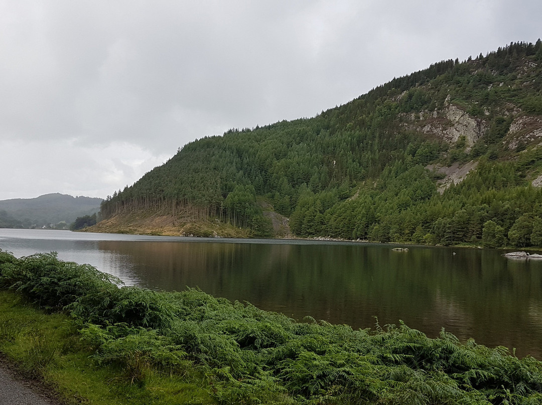 Llyn Geirionydd景点图片