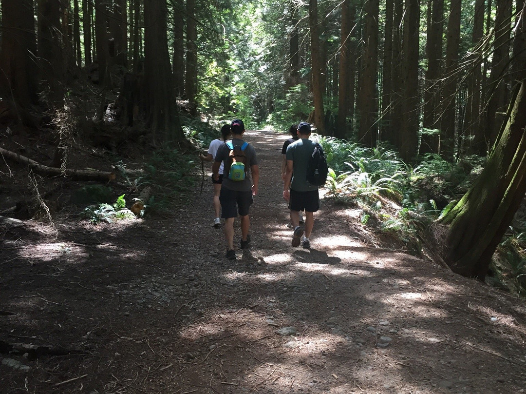 Woodland Walk Trail-高贵林市必去景点