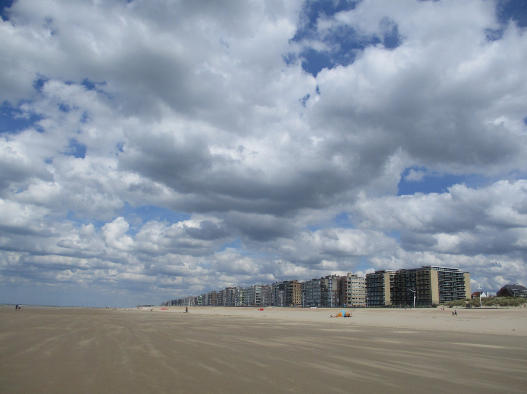 Sint-Idesbald旅游攻略图片