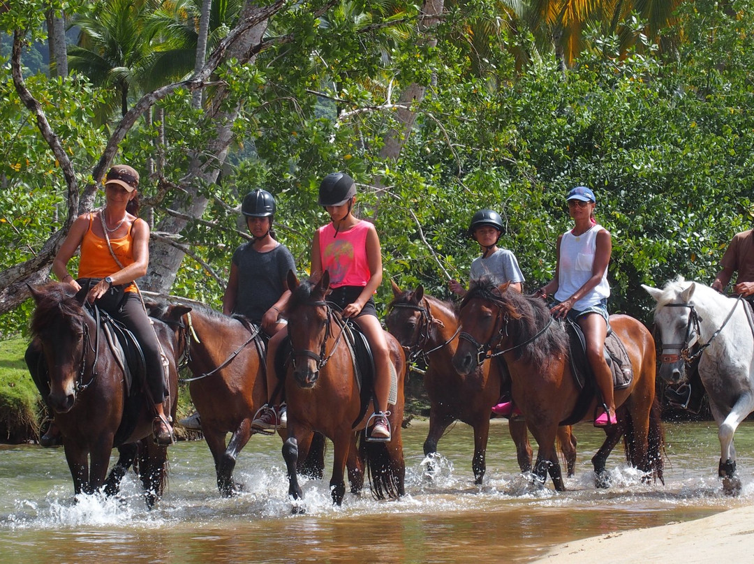 Rancho Playa-拉斯特拉纳斯必去景点