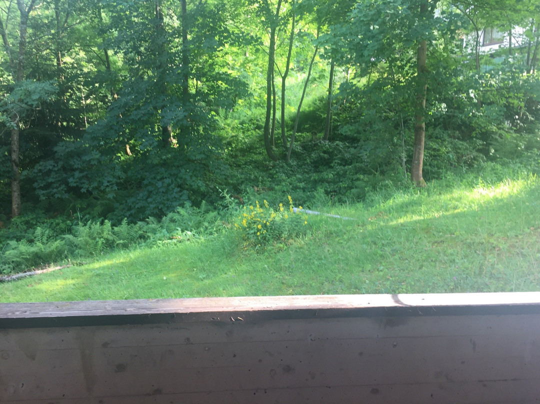 Hotel Klosterhof主图