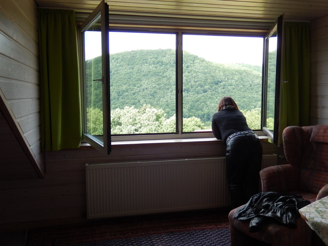 Hotel Haus Salzberg主图