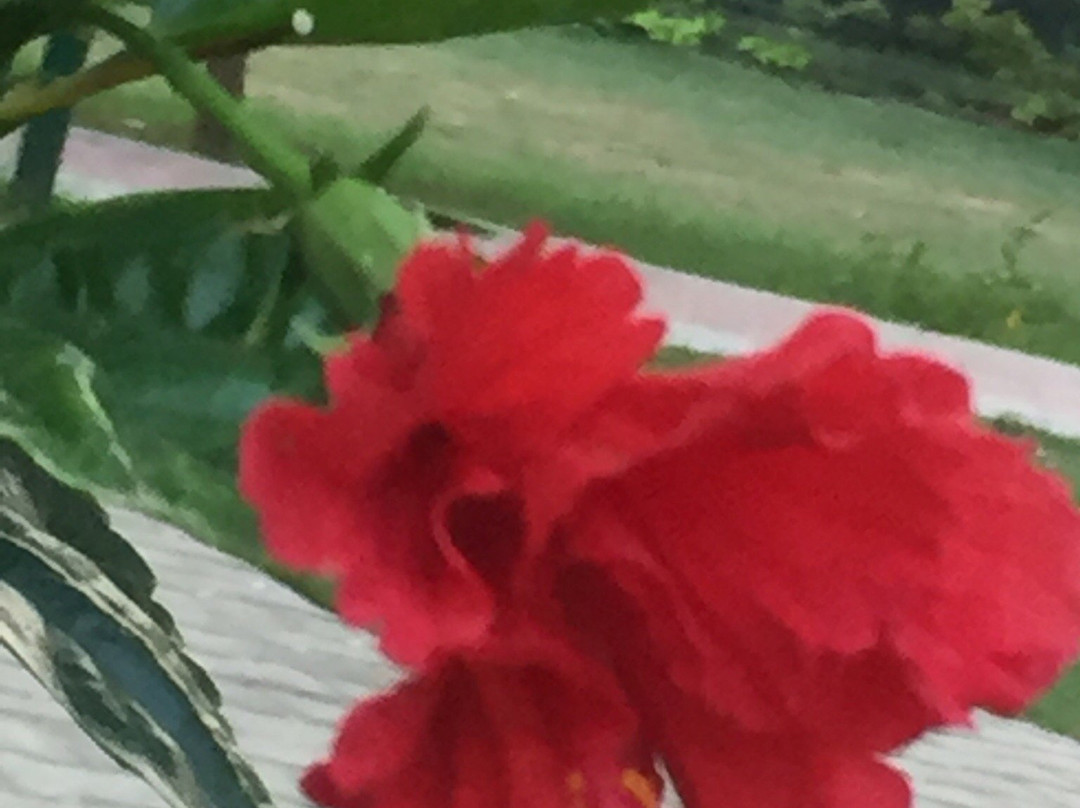 Rakh Bagh Park-卢迪亚纳必去景点