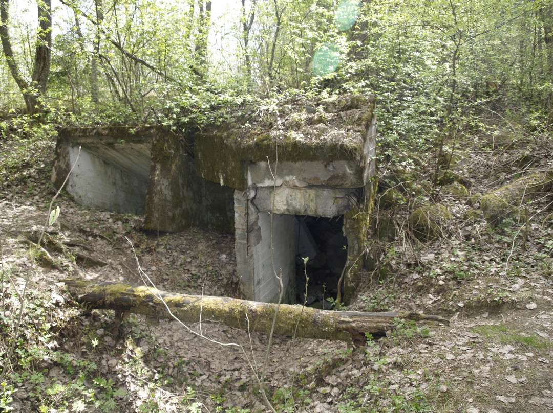 Tank T-34 and Mass Grave-Sambatuksa必去景点
