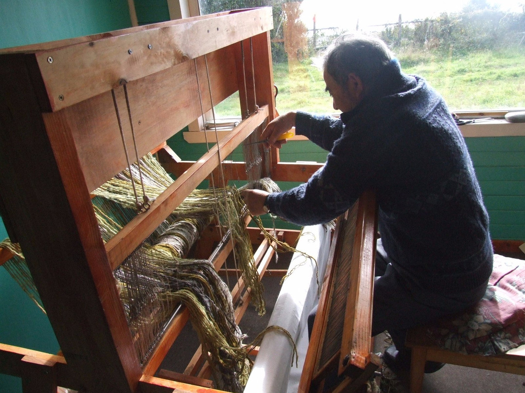 Santuario de Aves de Caulin-奇洛埃岛必去景点