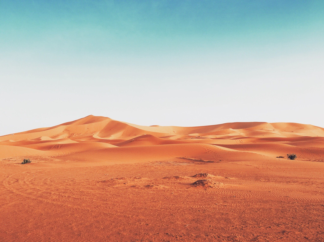 Marrakech-DesertTours景点图片