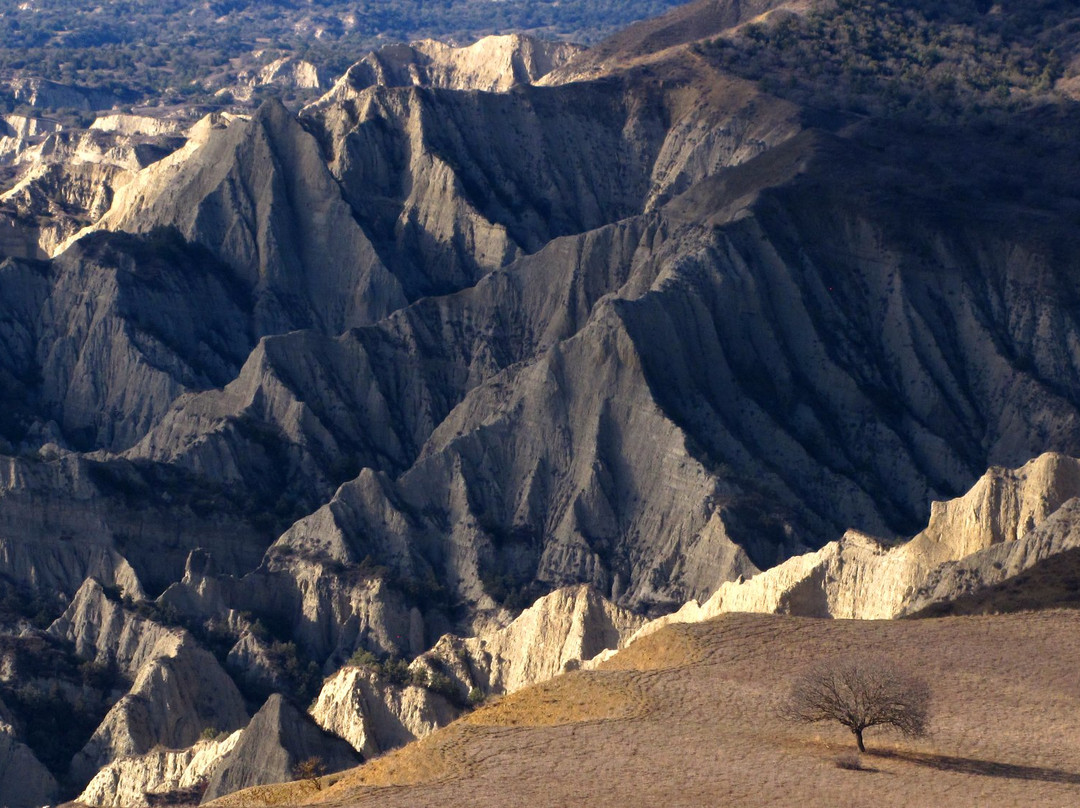 Dedoplistskaro旅游景点-Vashlovani National Park