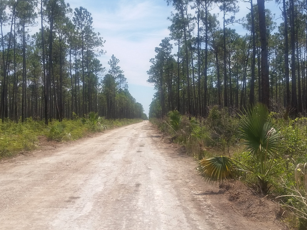 Abaco National Park景点图片