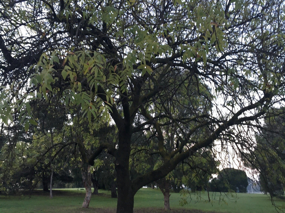 Dendy Park-布莱顿必去景点