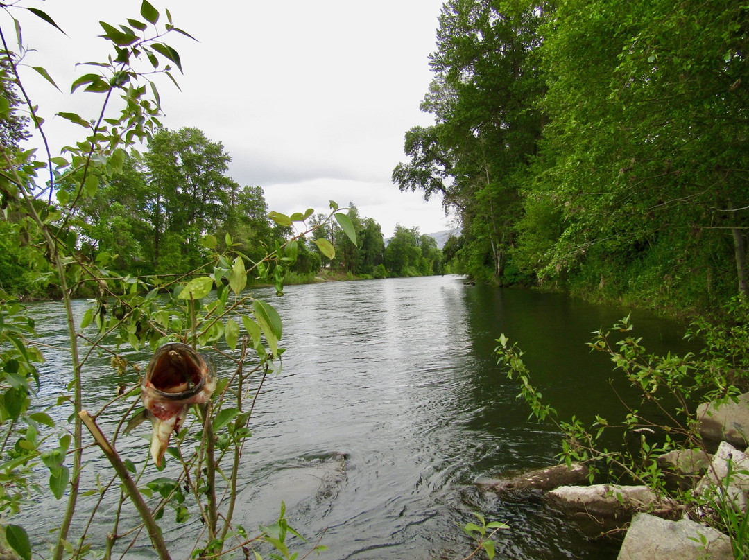 Schroeder County Park-格兰茨帕斯必去景点