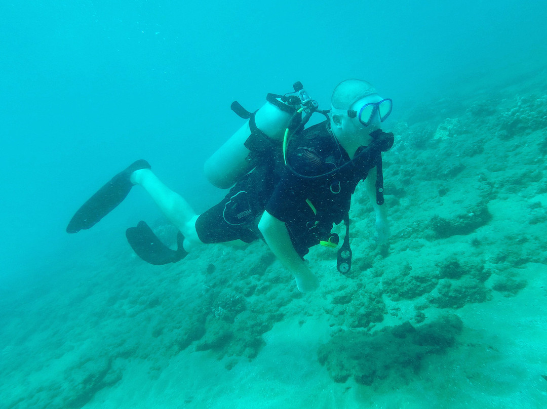 Five Star Scuba Wailea-基黑必去景点
