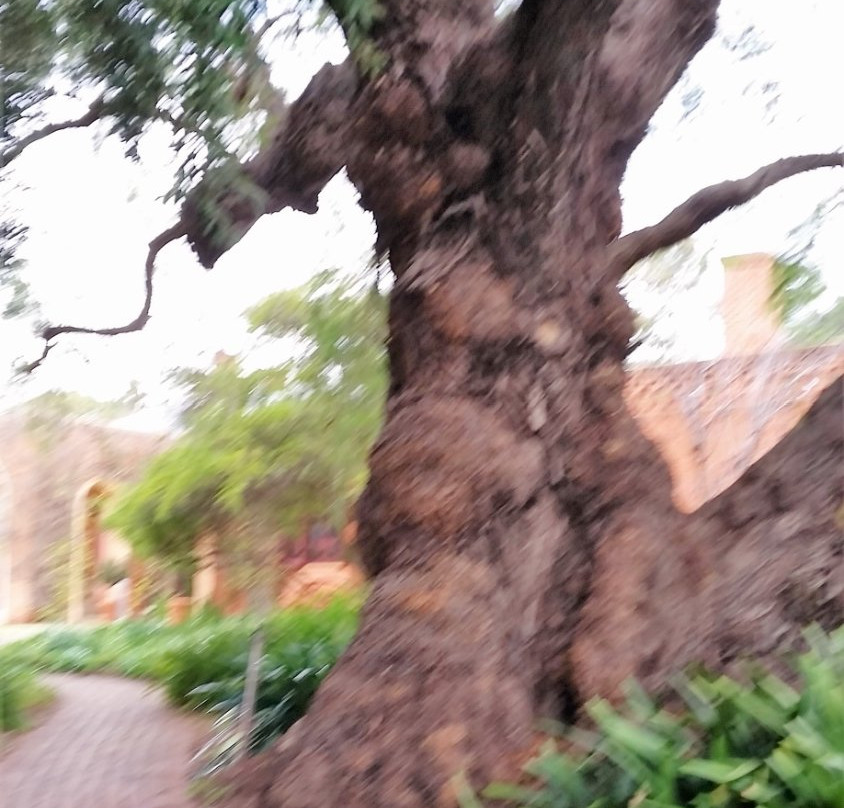 Historic Cummins House景点图片
