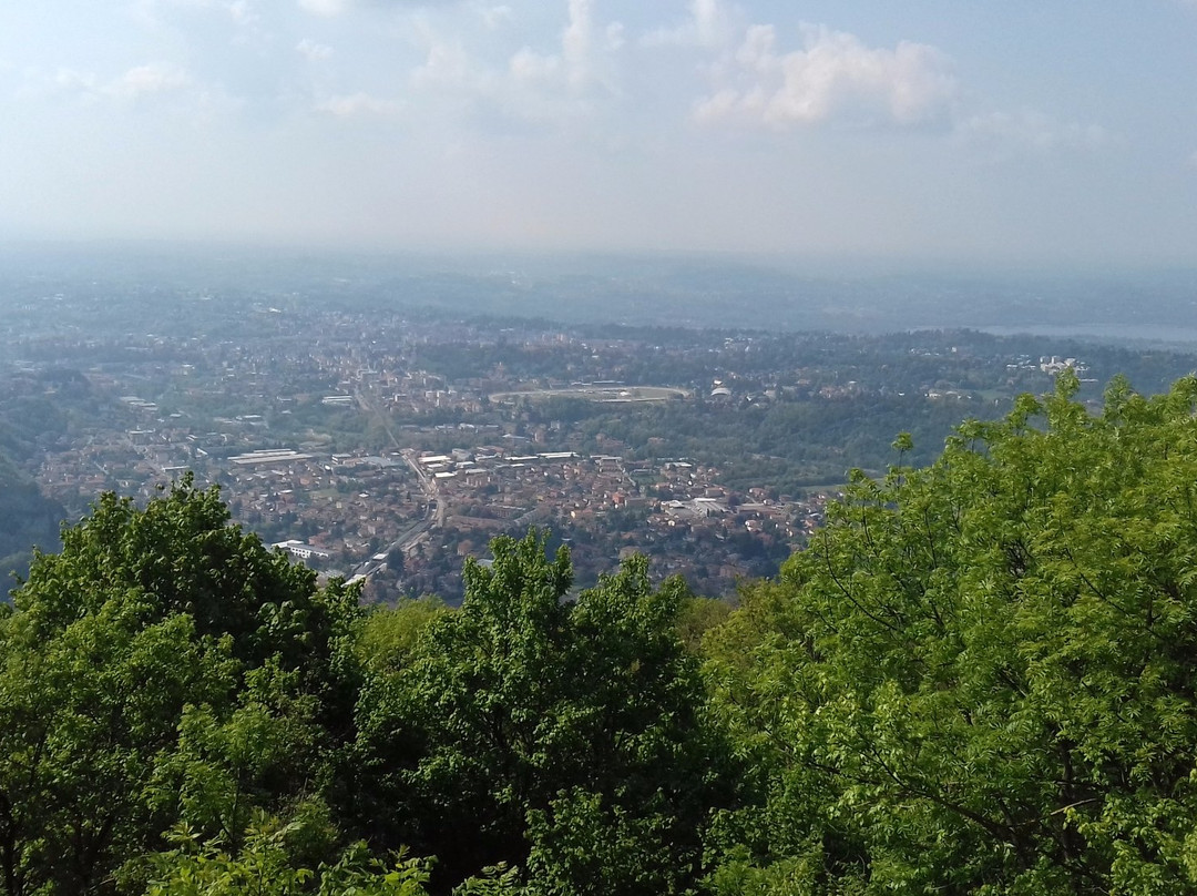 Monte Monarco景点图片