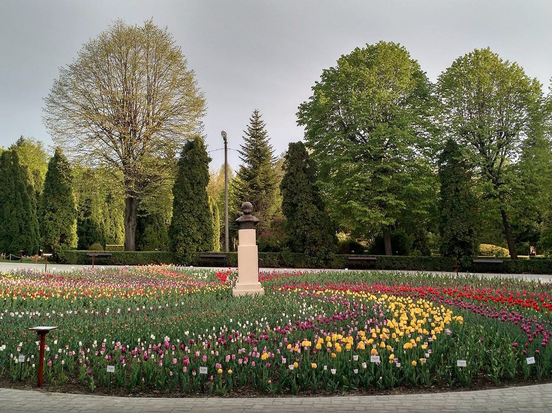Iasi Tourist Info Center景点图片