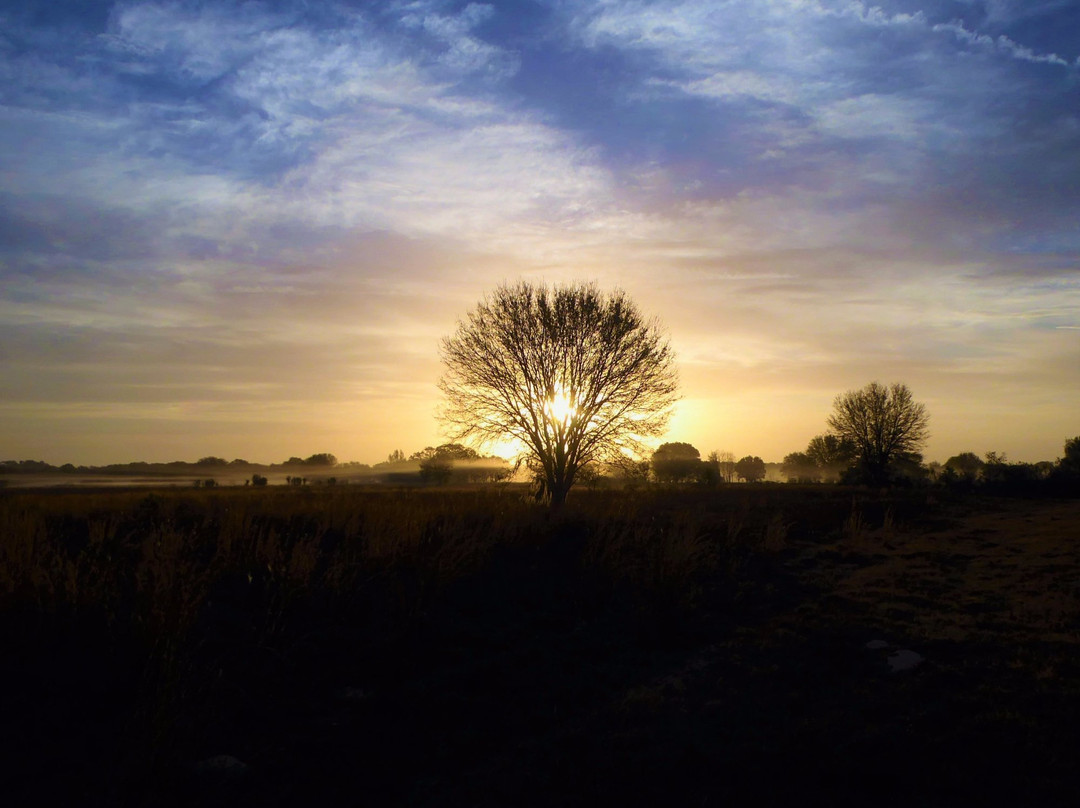 Pruitt Trailhead-Dunnellon必去景点