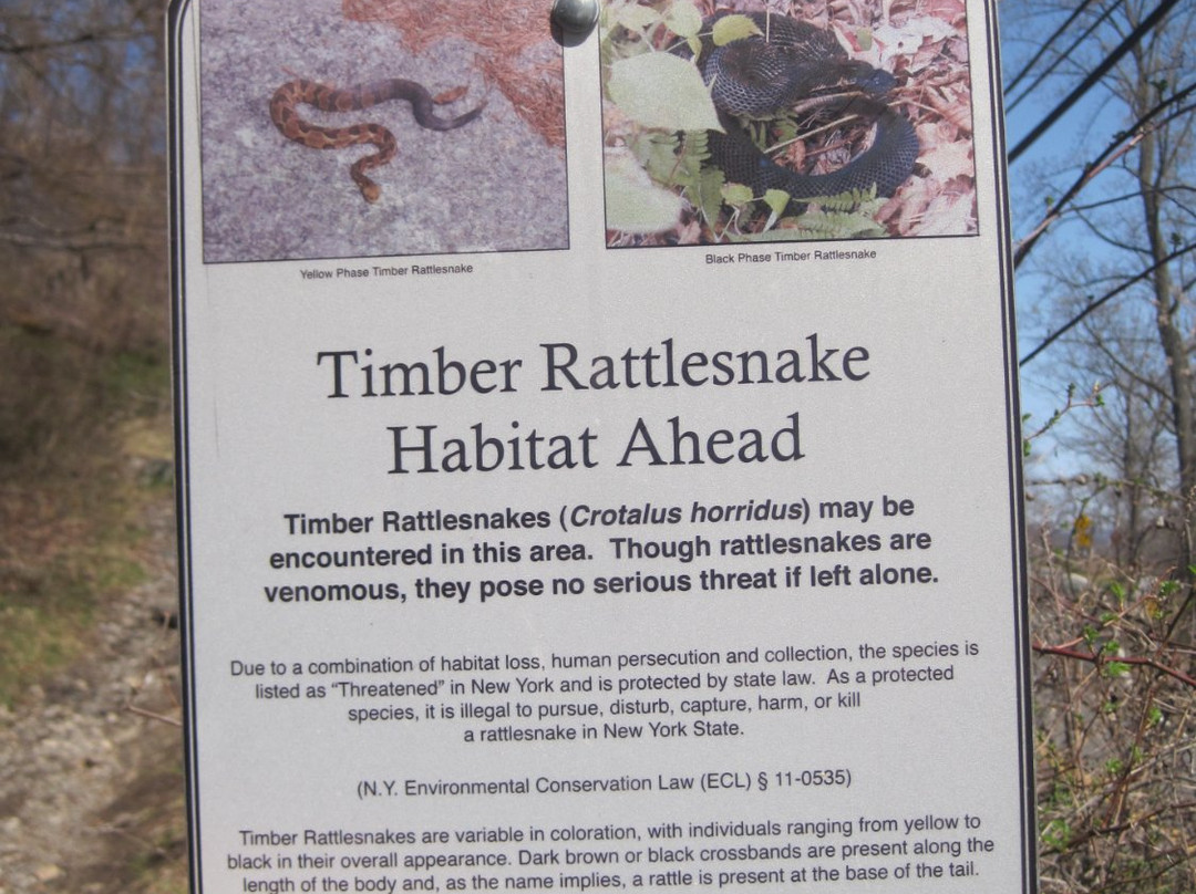 Doodletown-Stony Point必去景点