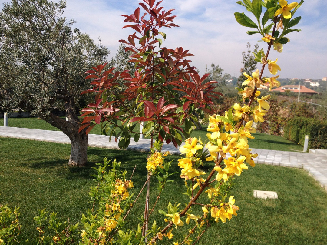 B&B Gioia In Collina主图