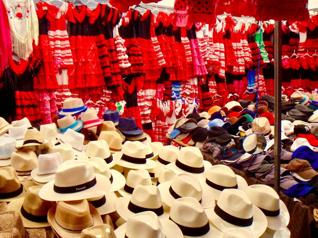 Mercadillo de Jalon景点图片