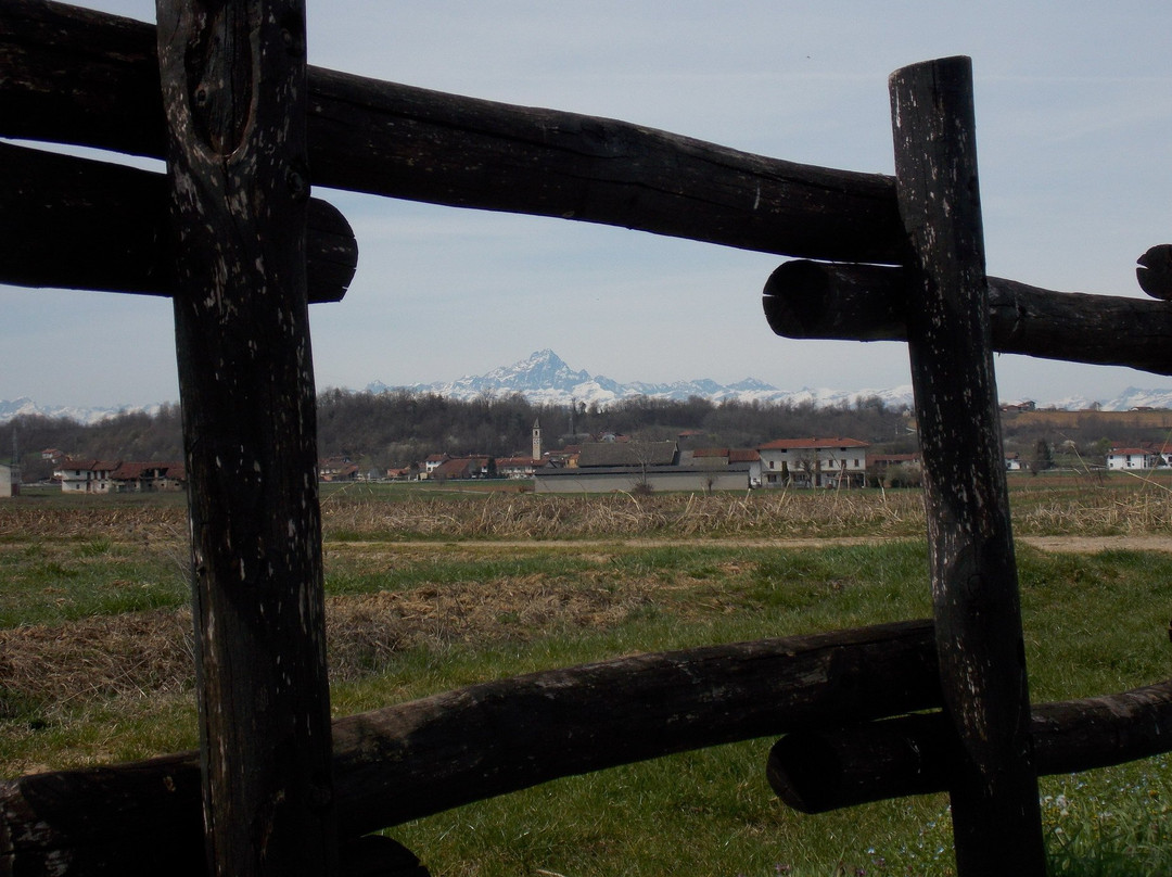 Il Sito Archeologico di Bene Vagienna-Bene Vagienna必去景点