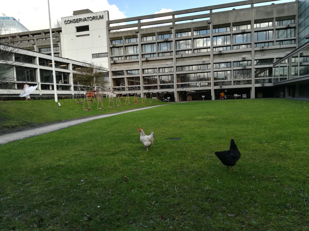 De Singel Internationale Kunstcampus-安特卫普必去景点