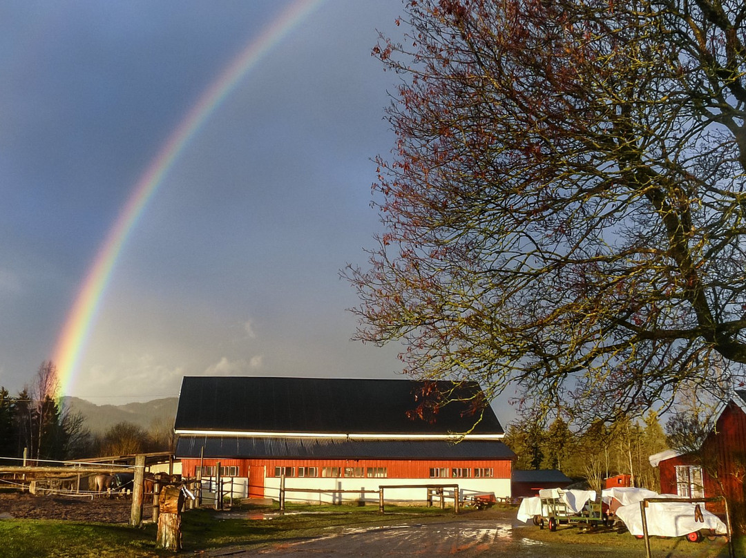 Rotnes旅游景点-Hauger Farm