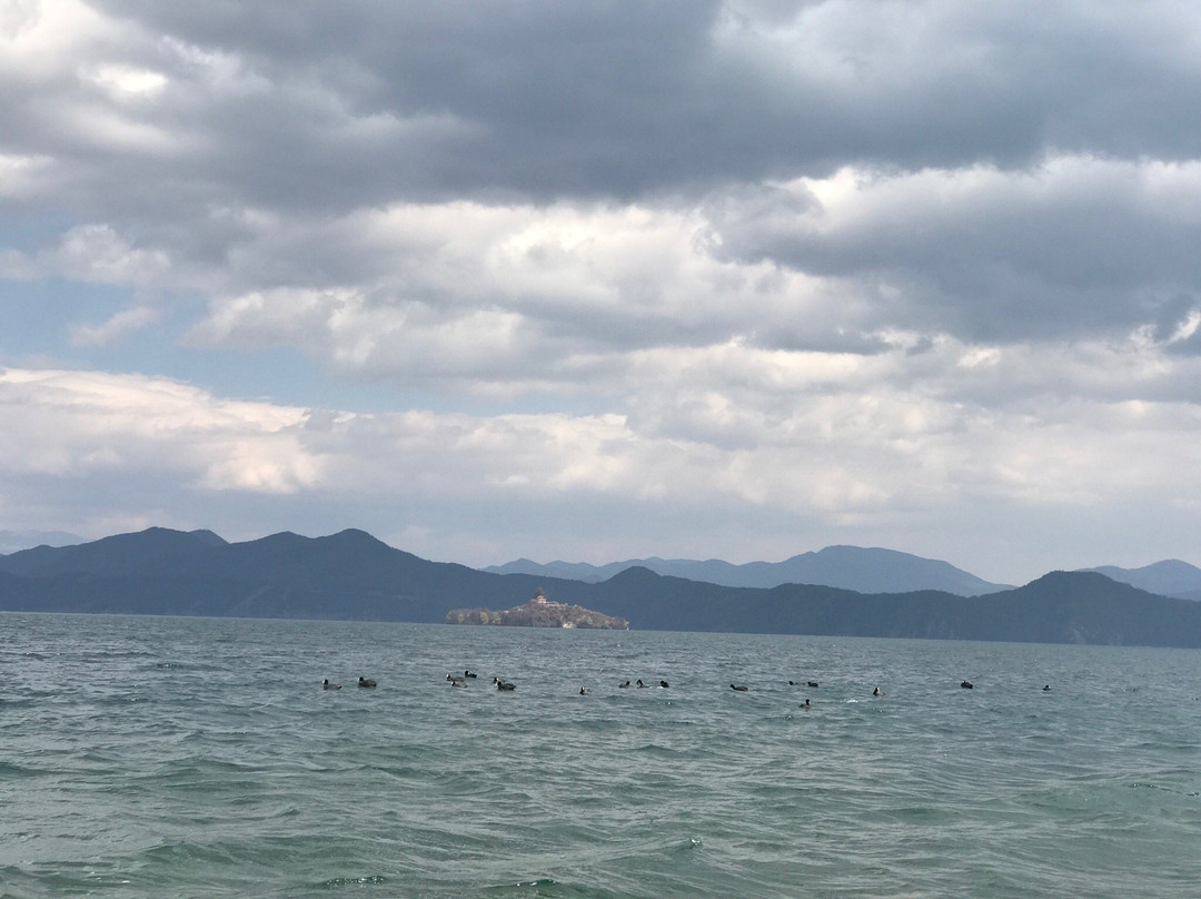 猪槽船与湖心岛-宁蒗彝族自治县必去景点