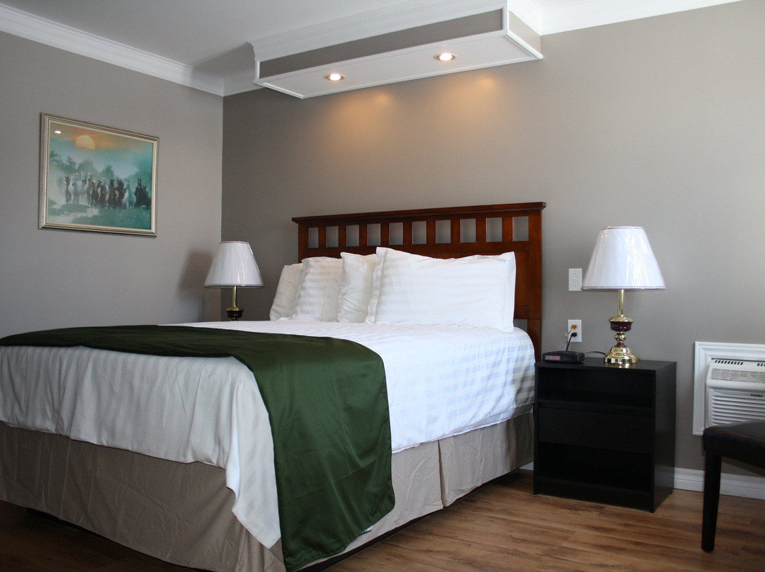 St. Brendan's Motel主图