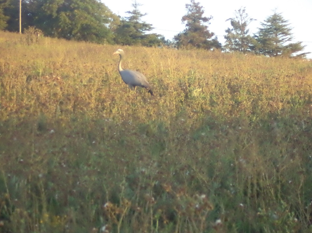 Inn on Highlands主图