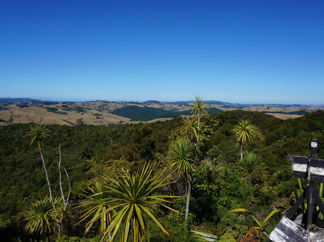 Mount Auckland Atuanui Walkway-奥克兰中心地区必去景点