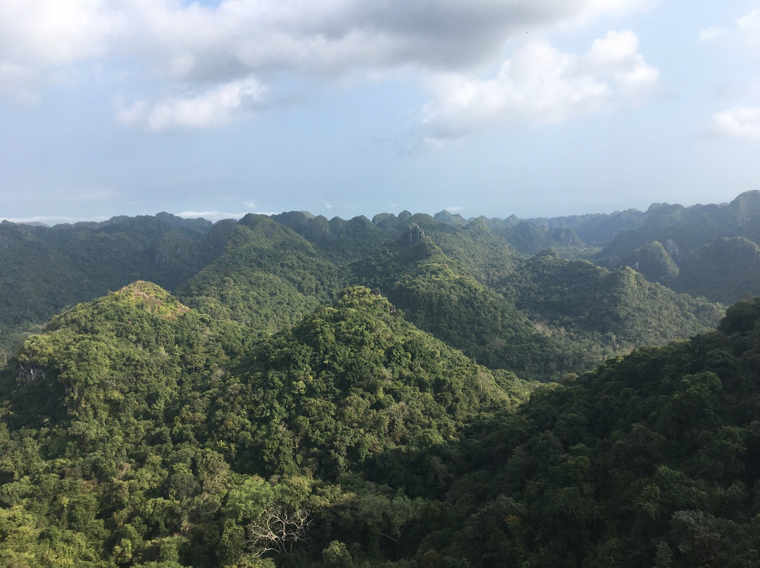 Vietnam Explorers景点图片