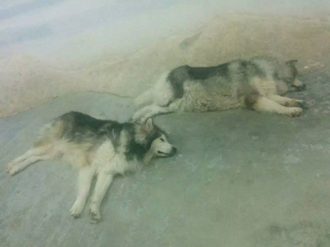 南京海底世界-南京市必去景点