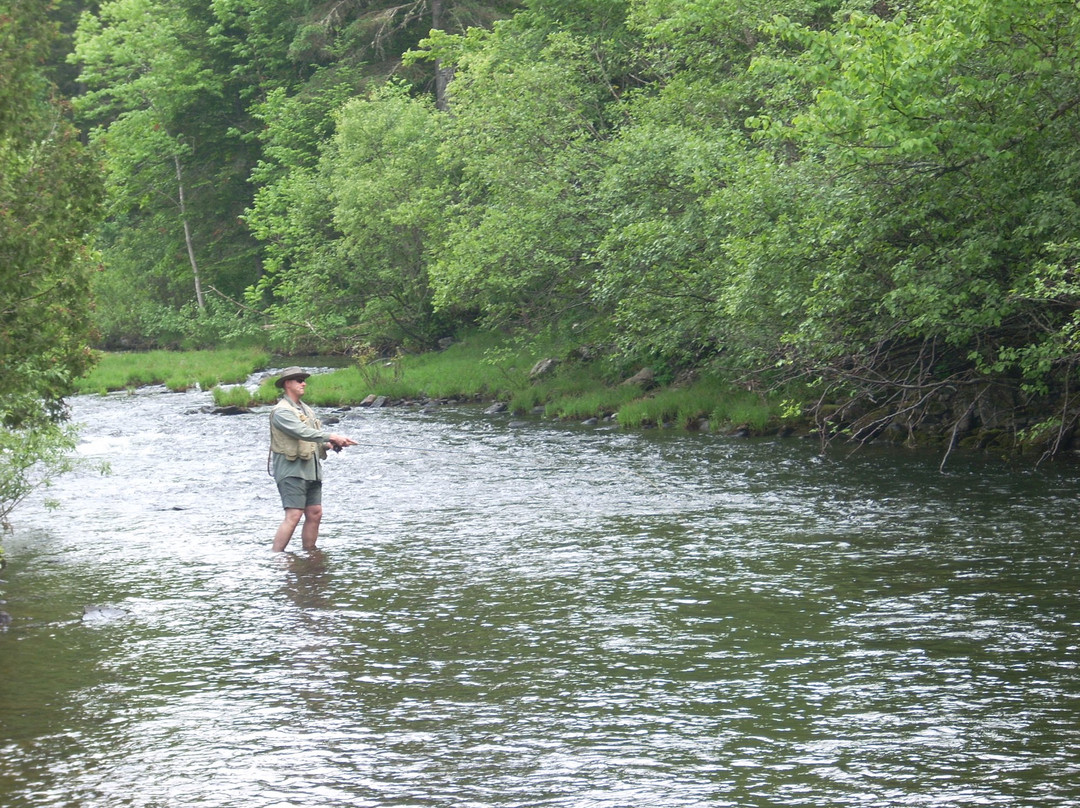 Rangeley River Trail景点图片