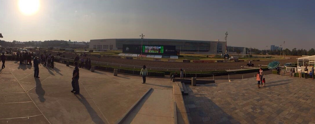 Hipodromo de las Americas景点图片