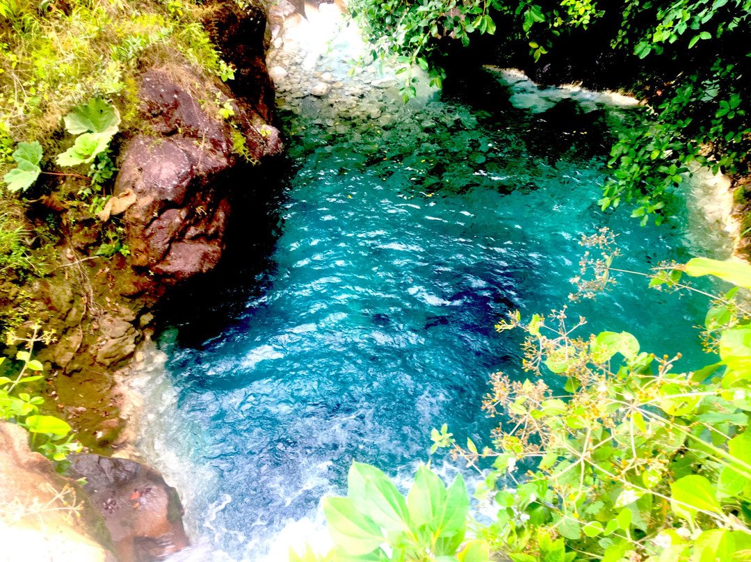 Sensoria Private Eco-Luxury Reserve-瓜纳卡斯特自然保护区必去景点