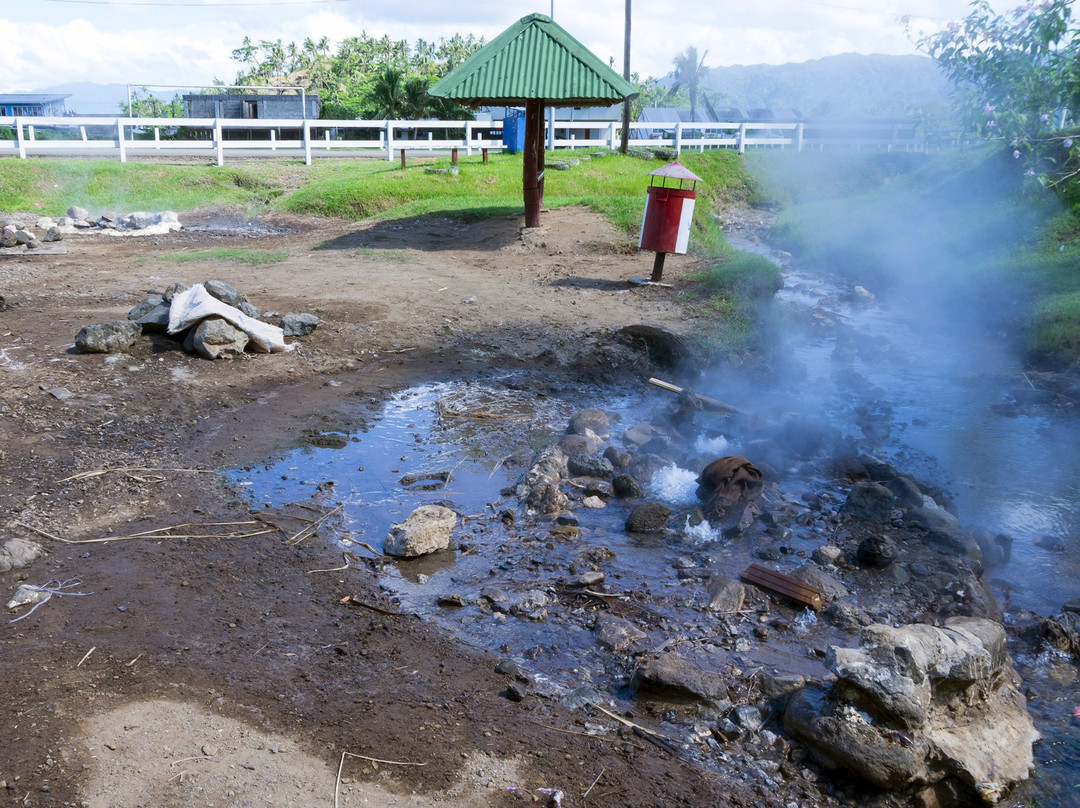 Savusavu Hot Springs景点图片