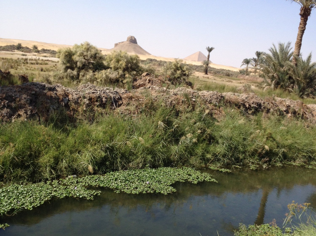 Dahshur lake景点图片