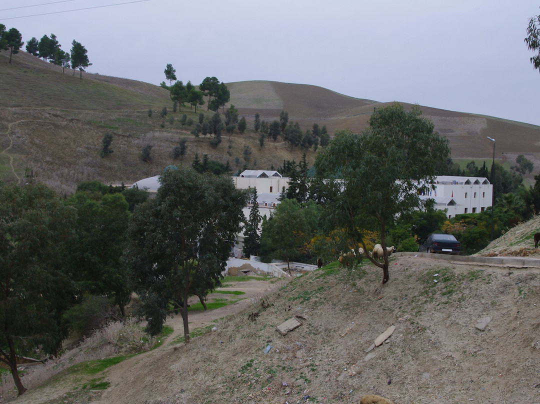 Moulay Yacoub旅游攻略图片