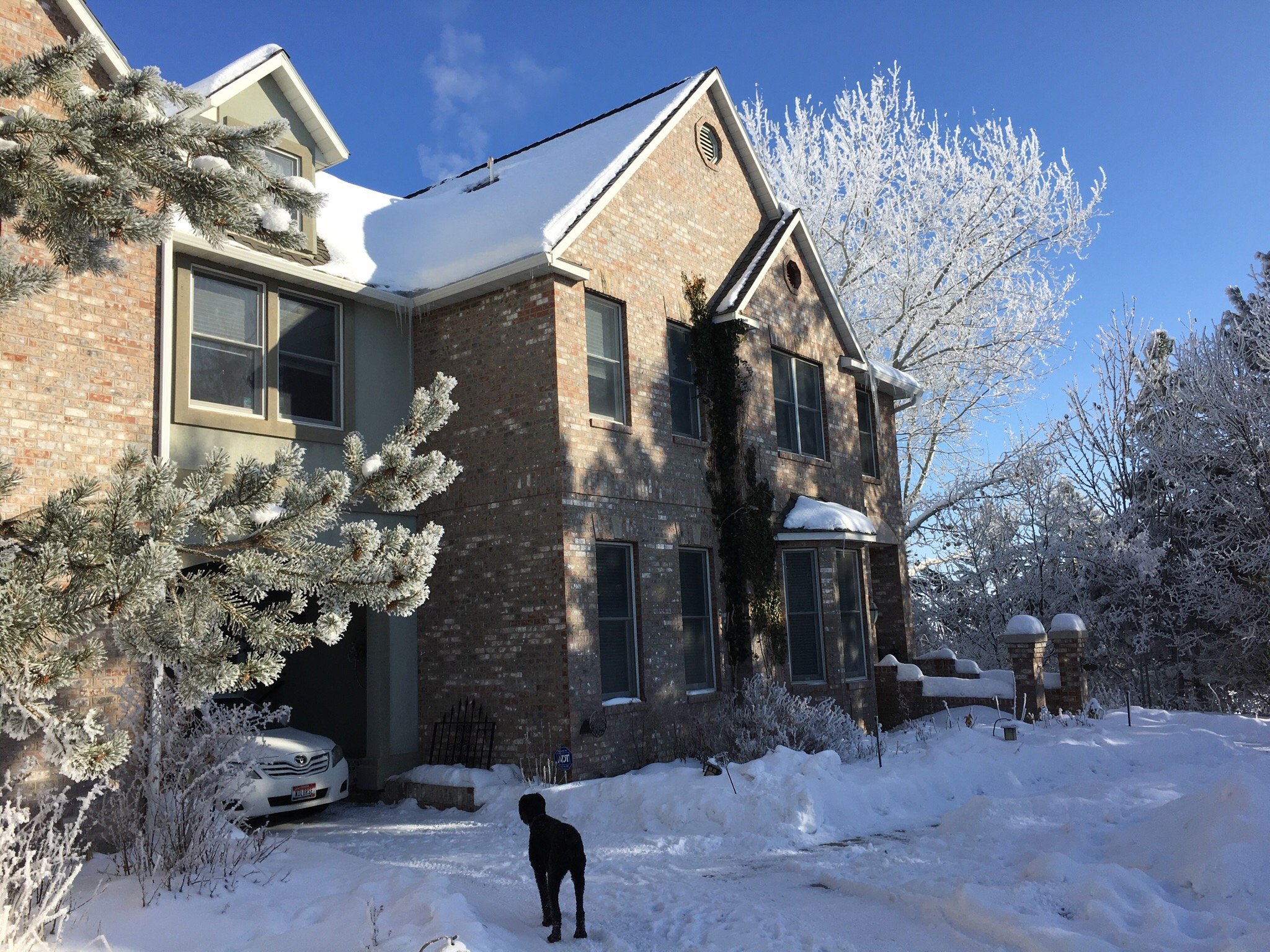 Wild Rose Manor Bed & Breakfast-官方