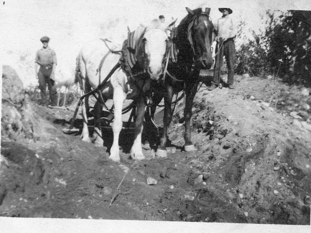 Markuby's Bar & Grill-Townsend必去景点