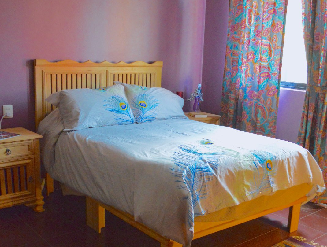 Casa Pavo Real主图