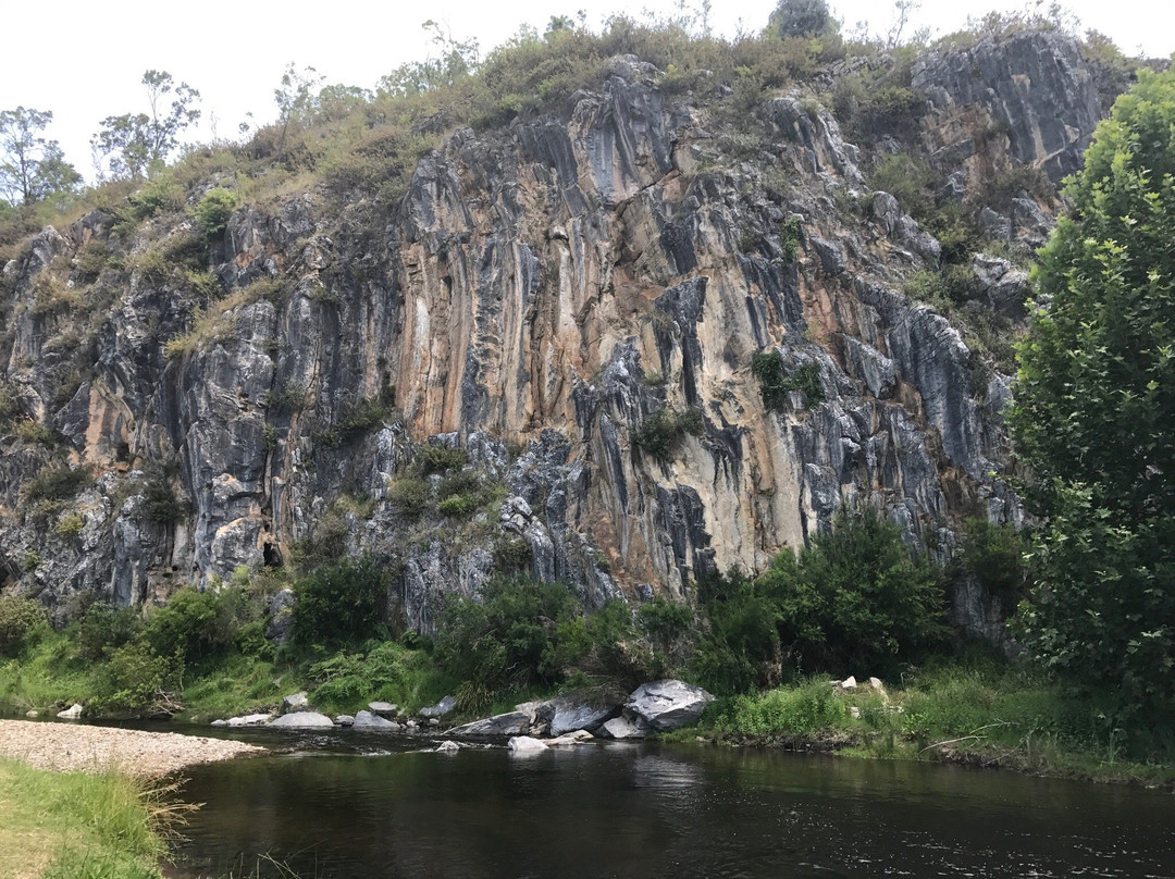 Buchan旅游攻略图片