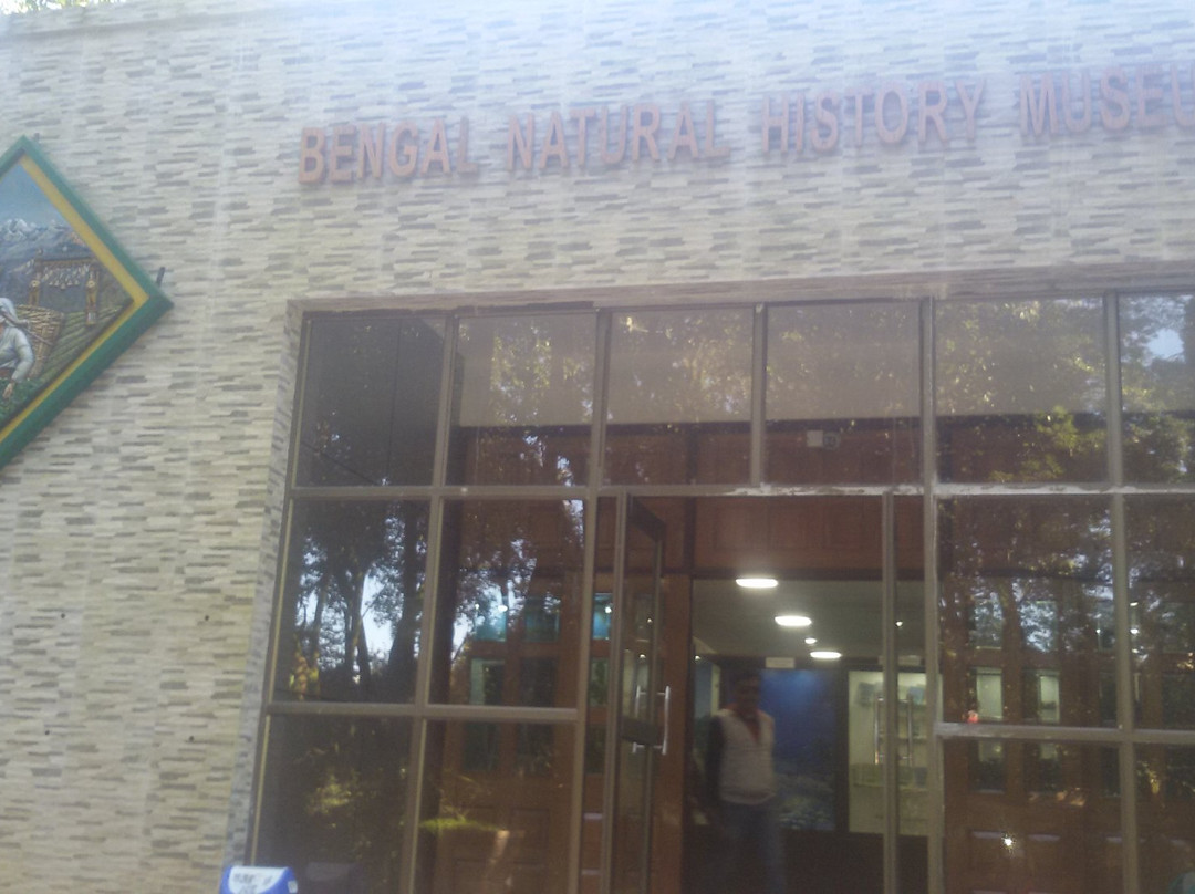 Bengal Natural History Museum景点图片