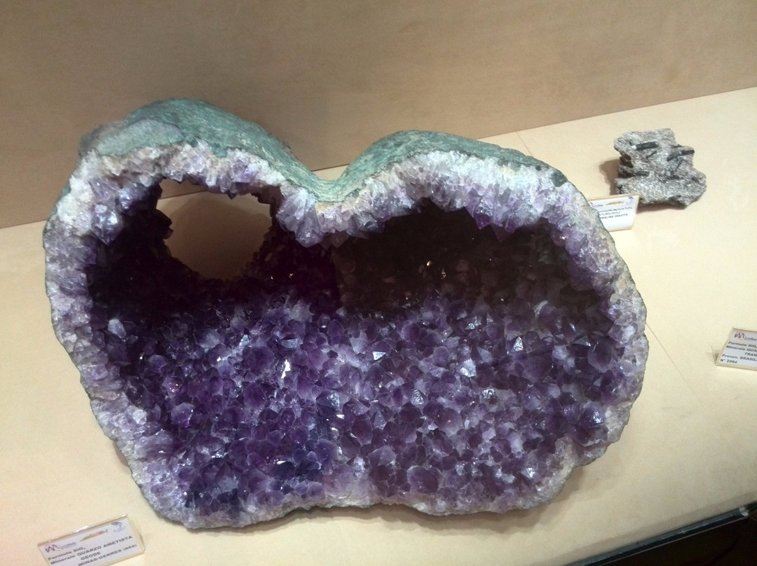 Museo Mineralogico di Caltanissetta景点图片