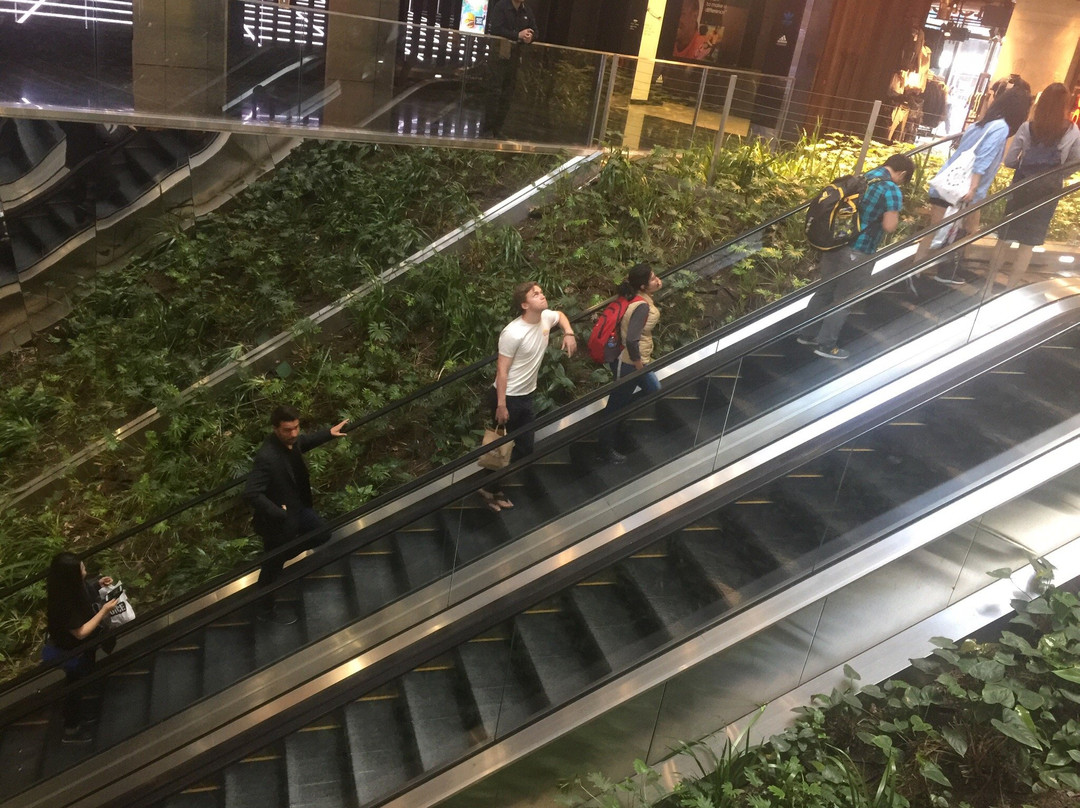 Central Park-悉尼必去景点